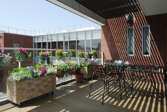 アライブ世田谷下馬