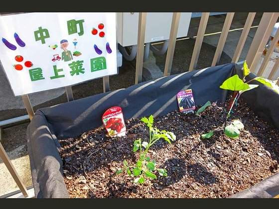 アライブ世田谷中町
