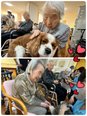 癒しのドッグセラピー