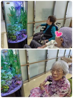 すこや家西尾久 アクアリウム