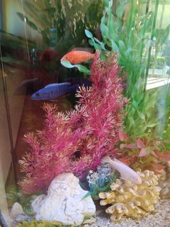 会いに来たよ(*^^*)