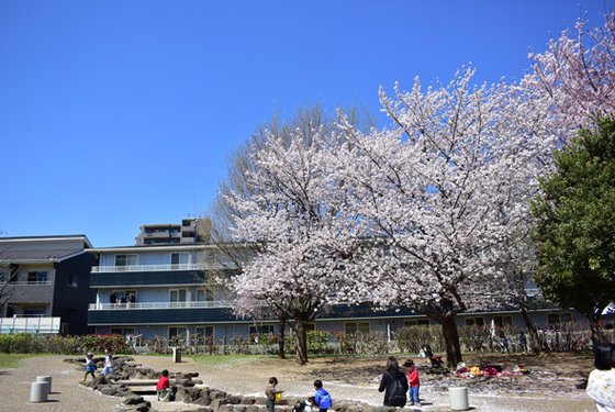 アミカの郷和光