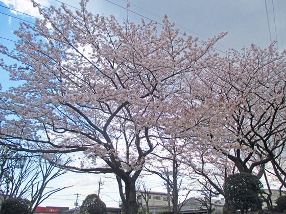 アミカの郷川口