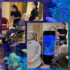 【アミカの郷ちとせ】プライベート水族館