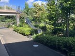 本日の中庭