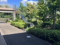 本日の中庭