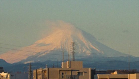すこや家・志木柏町