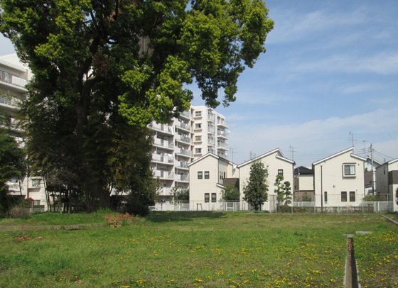 すこや家・志木柏町