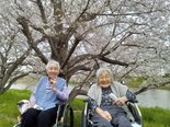 春を感じるひととき・・・
