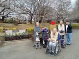 今年も花見の季節がやってきました