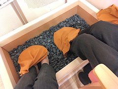 さーて、健康寿命を延ばしちゃおう☆