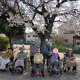 お花見散歩その②
