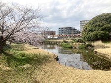 見沼通船堀公園