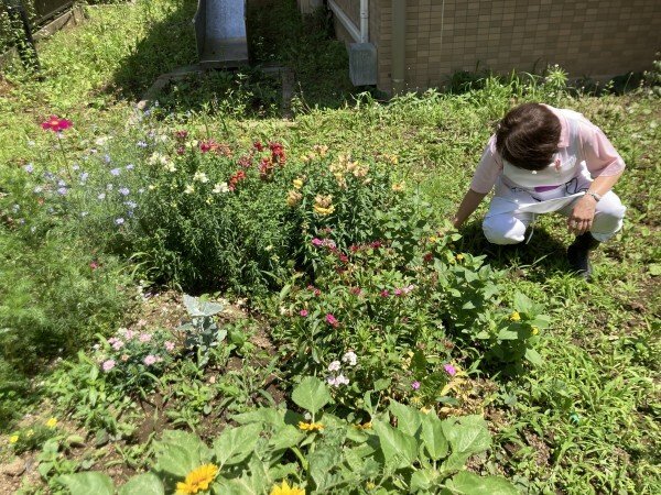花壇のお花を紹介します すこや家 大宮佐知川 さいたま市西区 Lifull 介護