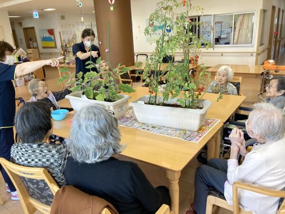 みんなの家・南中丸