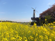 市民の森・見沼グリーンセンター