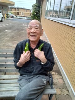 野菜の収穫!