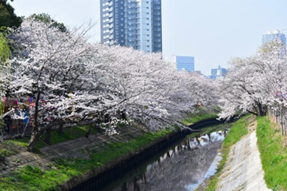 アミカの郷船橋