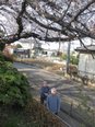春だね～(^^♪