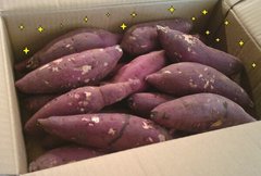 11月は・・・さつまいも づ・く・し (*´ω`*)フフフ