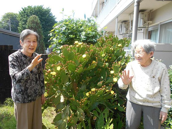 みんなの家・南中野