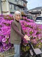 お花がとっても綺麗に咲いています ～お散歩～