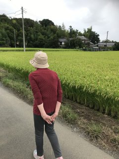 散歩