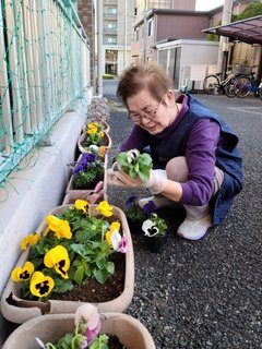 グループホームみんなの家・与野本町 玄関前が華やかになりましたぁ～!