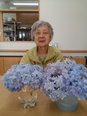 紫陽花のお花を頂きました