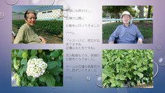 お散歩 (^O^)/