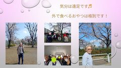 お花見行ってきました ( ^^) _U~~