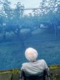 梨畑の様子はどうかな?