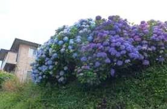 グループホーム みんなの家・横浜羽沢3(よこはまはざわ3)