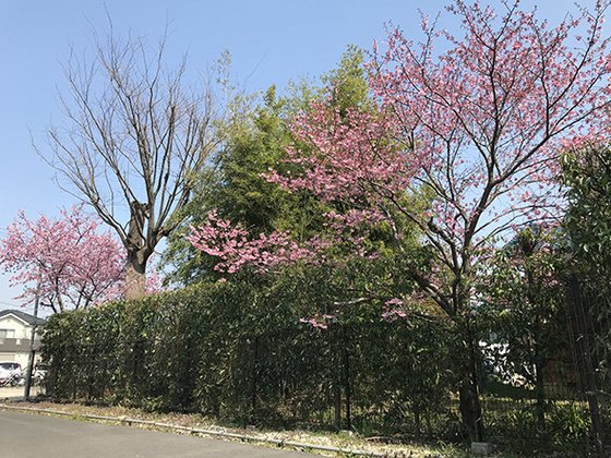みんなの家・春日部やなか
