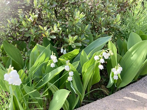 みんなの家・春日部やなか