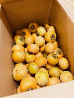 ホームで発見!実りの秋♬