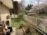 桜を観賞&外気浴