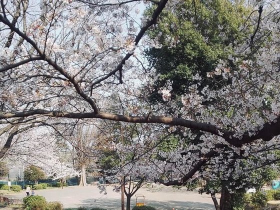 みんなの家・横浜今宿(よこはまいまじゅく)