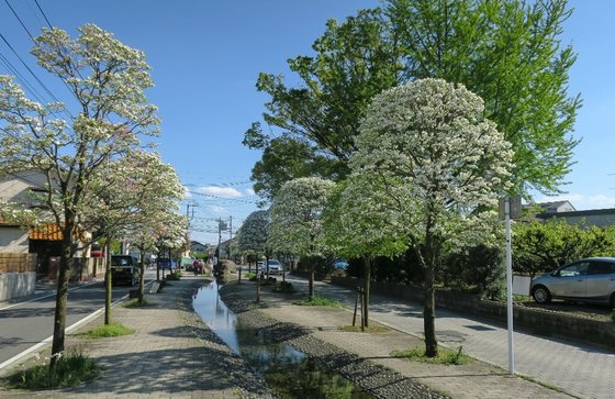 すこや家・志木