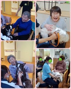 ドッグセラピー