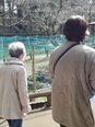 花を探しに行こう(^^)/_