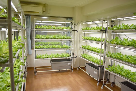 みんなの家・戸田