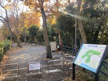 日吉の丘公園