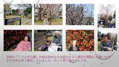 お花見いきました (^O^)/