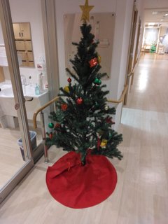 クリスマスツリーを飾り付け