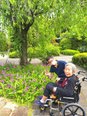 お花を見に行きました