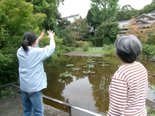 お寺巡り