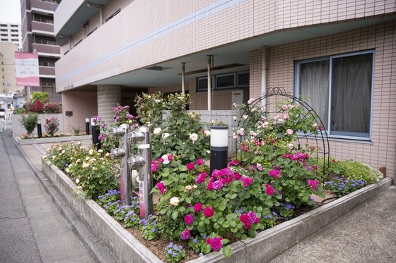 しまナーシングホーム白金