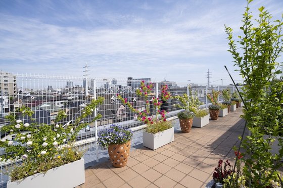 しまナーシングホーム中野