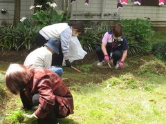 5月5日の草取り～♪